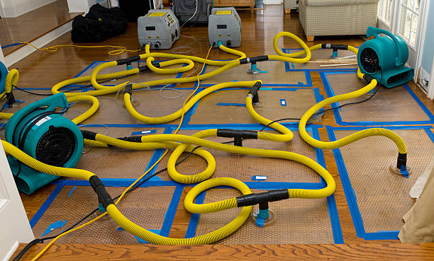 Professional Crawl Space Water Removal technician working in Valley View, PA